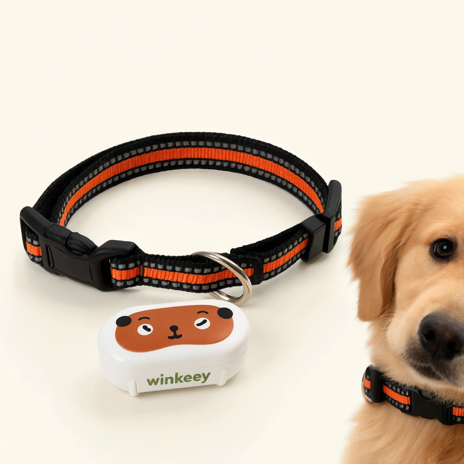 Winkeey GPS collar — orange adventurer variant on a golden retriever