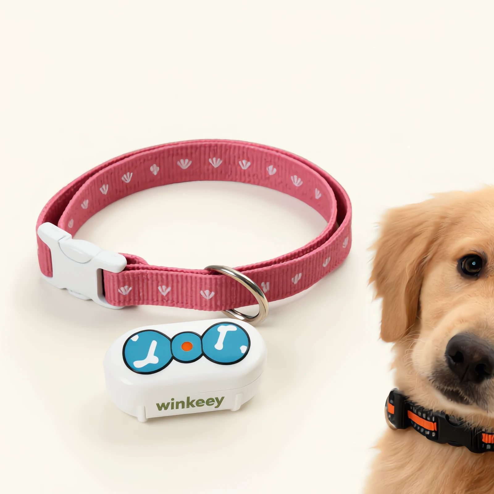 Winkeey GPS collar — pink sweetheart variant on a golden retriever