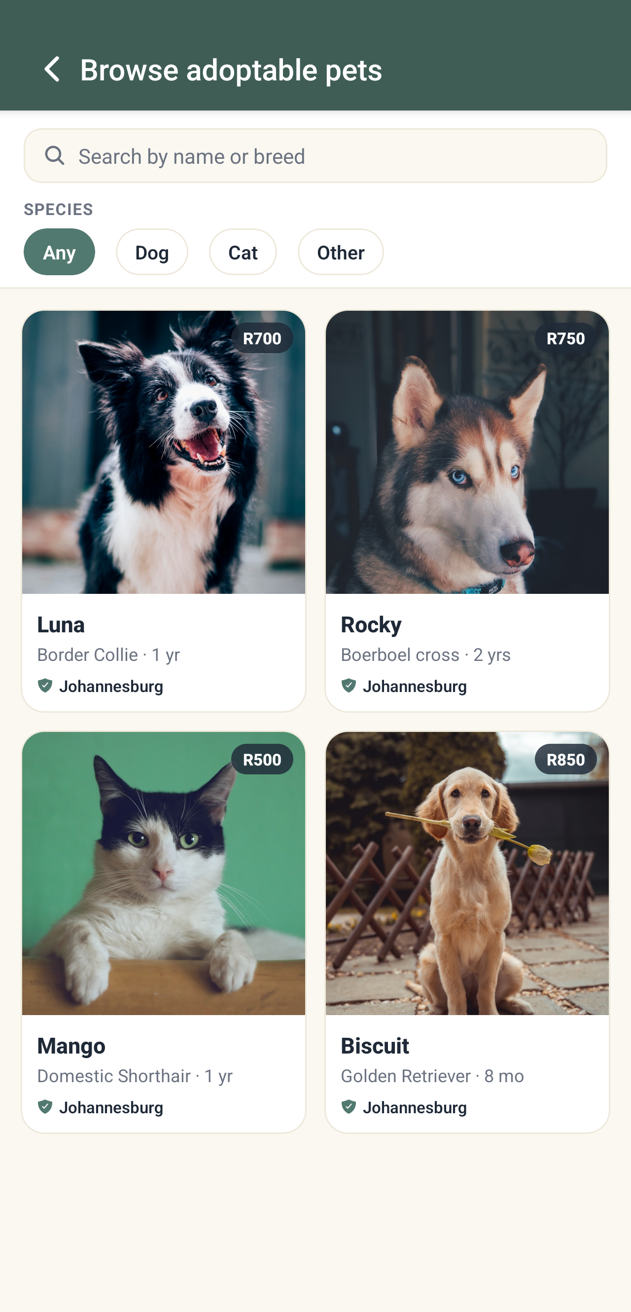 Adopt a pet — Winkeey app screen