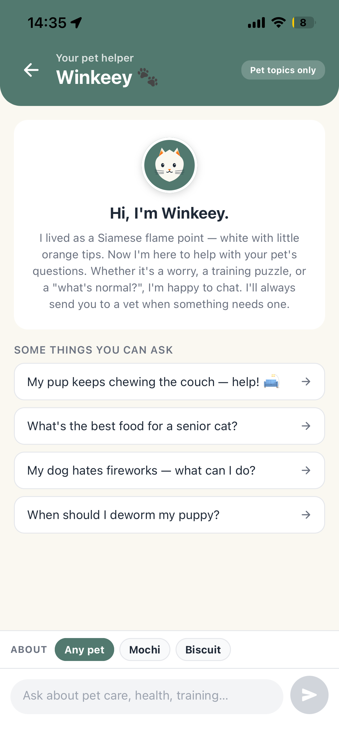 Winkeey — your AI pet helper — screenshot
